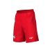 Austria - Featherlight shorts - National Team